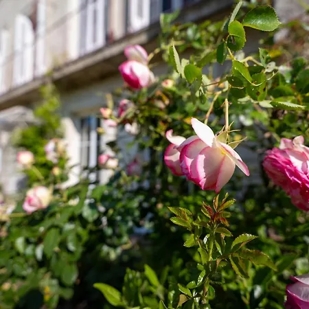 Maison De Vigneron Holiday home Saint-Cyr-en-Bourg